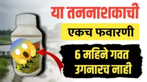 या तननाशकाने 6 महिने शेतात गवत उगवतच नाही..पहा कोनते ?