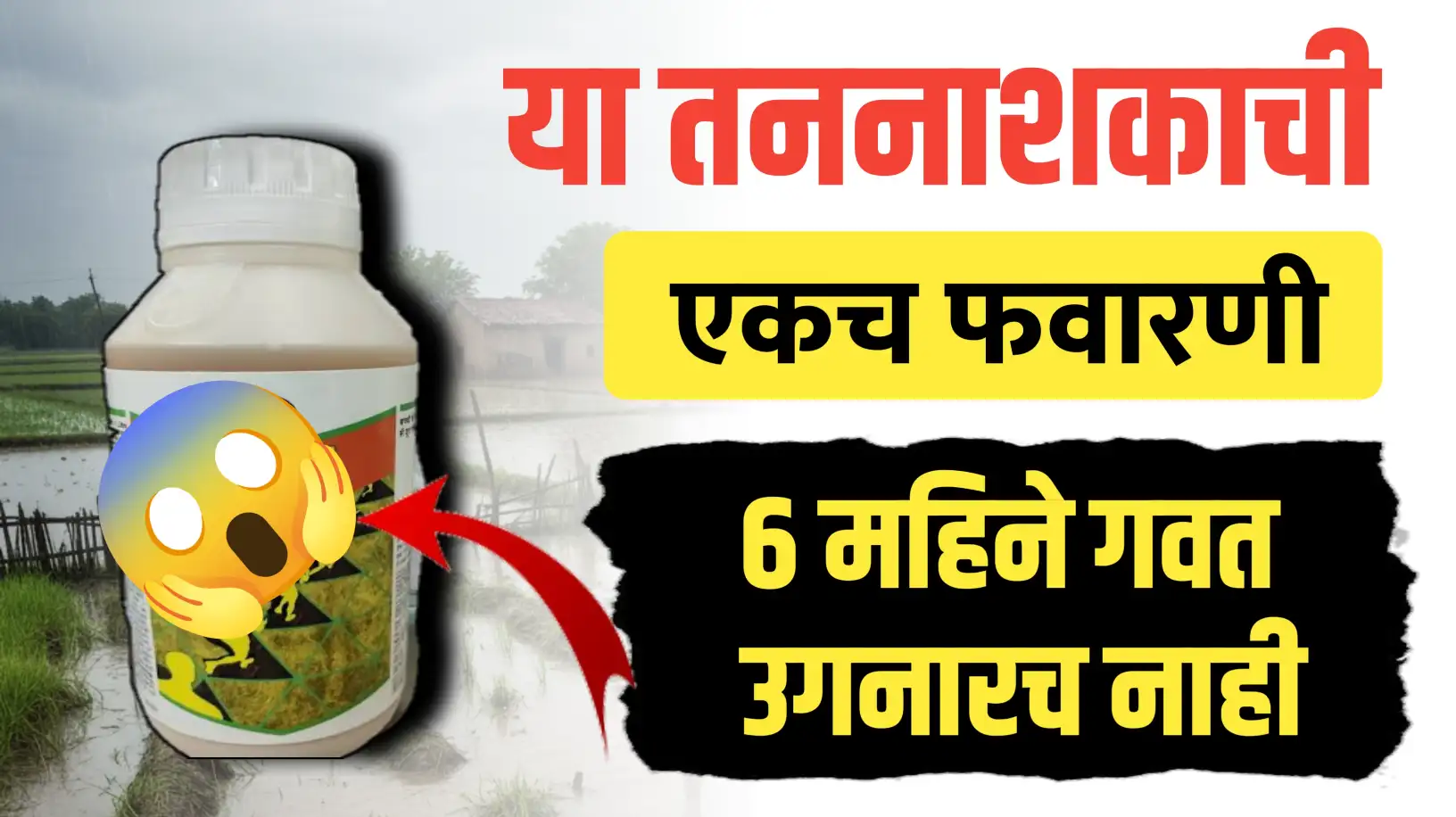 या तननाशकाने 6 महिने शेतात गवत उगवतच नाही..पहा कोनते ?