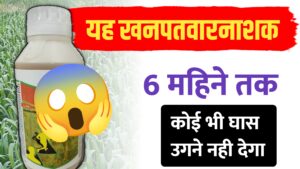 इस खरपतवार नाशक से 6 महीने तक खेत में नहीं उगेगी घास: जानें इसके बारे