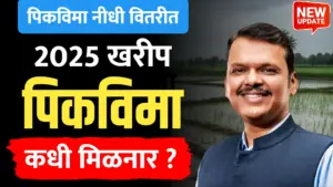 सुधारित पीकविमा निधी वितरित; शेतकऱ्यांच्या खात्यात विम्याचे पैसे कधी येणार?