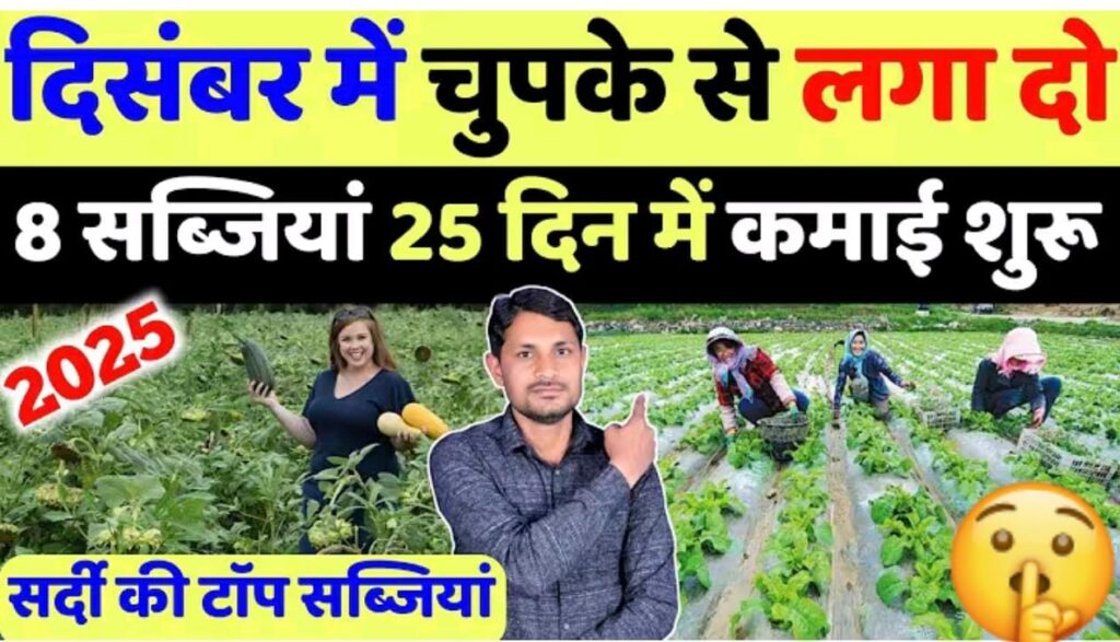 दिसंबर मे लगायें ये सब्जीया, बिकेगी 100₹ किलो, 30 दिन मे मालामाल